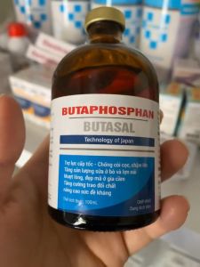 Trợ Lực Cấp Tốc Butaphosphan Chống Còi Cọc Chậm Lợn Tăng Sản Lượng Sữa Mượt Lông Tăng Sức Đề Kháng Cho Lợn Bò Dê Cừu