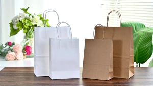 Plain Colour Craft Paper Bag Birthday Wedding Gift Doorgift Shopping Goodies Beg Murah Jamuan