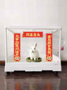 PET AND YOU | Trang Trí Cửa Chào Tết Cho Thú Cưng