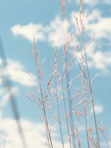 Kocotree | Găng Tay Chống Tĩnh Điện Cho Trẻ Em Mùa Đông