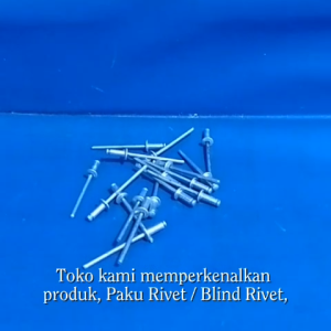 Paku Rivet Blind Ripet SIP 10PCS