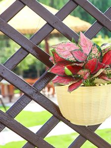 Spring Home กระถาง 21×13×12CM แขวนผนัง สไตล์นอร์ดิก กระถางต้นไม้พลาสติก ตกแต่งสวน flower