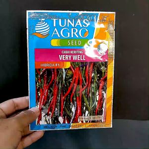 BENIH CABAI KERITING HIBRIDA F1 - VERYWELL - 10 Gram - Tunas agro - OR 42 bianca luwes red sabel