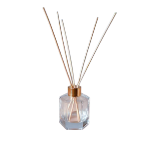 Modern Simplicity Aromatherapy Bottle Empty Glass Vase for Home Indoor Essential Oil Diffuser Stick Long Lasting Fragrance