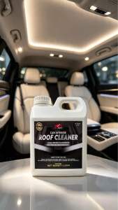 BRIGHT CHEM Car Interior Roof Cleaner ALL PURPOSE (CEILING LEATHER FABRIC SEATBELT DOOR PANEL)
