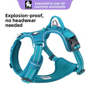 TRUELOVE | Dog Chest Harness Leash