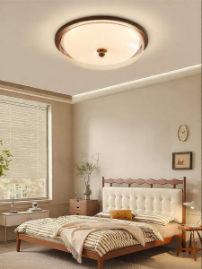 DGY | New Vintage French Style Round Modern Minimalist Ceiling Light