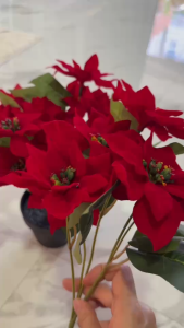 ต้นคริสมาสแดงดอกผ้ากำมะหยี่ 1ช่อ(5ก้าน) สูง30ซม.(ในกระถางมี3ช่อ)