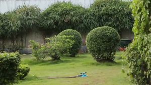 J MALL Lawn ABS Plastic Green Sprinkler Automatic Manual 360° Rotating Garden Water Sprinkler Lawn Roof Irrigation