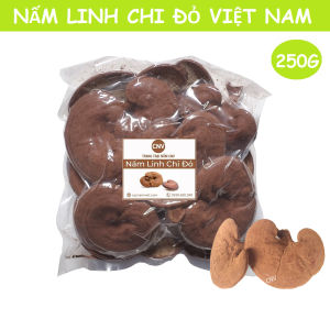 Nấm linh chi đỏ cao cấp CNV 250g (Xích chi Việt Nam)