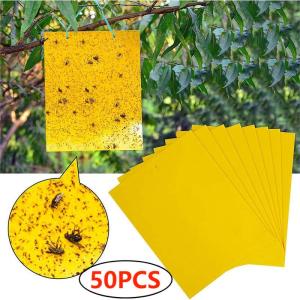 ดักแมลงวัน กาว ดักแมลงวัน กาวดักแมลงวัน แพ็คละ 50 แผ่นSticky Fly Paper กาวแน่น กาวเต็มแผ่น มีสารล่อแมลง ติดทนนาน ปลอดภัย ใช้งานง่าย เหมาะกับหลากหลายสถานที่