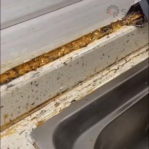 5 In 1 Silicone Scraper Sealant Smooth Remover Tool Set Caulking Finisher Smooth Grout Kit Floor Mould Removal Hand Tools Set