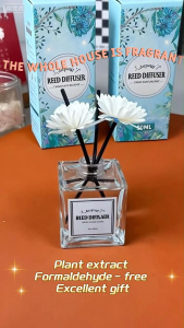 3-Pack Diffuser Refill Bundle - Value Pack for Reed Diffusers Water-Based Formula Long-Lasting Easily Refresh Your Space