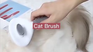 Pembersih hewan peliharaan Cleanpets Sisir Rambut Rekomendasi Sisir Perawatan hewan - T10