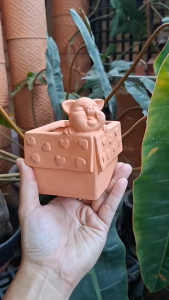 Chậu Gốm Đất Nung Hình Chú Heo Trong Hộp Quà - Gốm Sứ Sân Vườn - GSSV