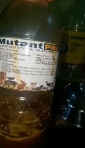 Mutant Pro (pet fuel for cats and dogs) 1L organic probiotics