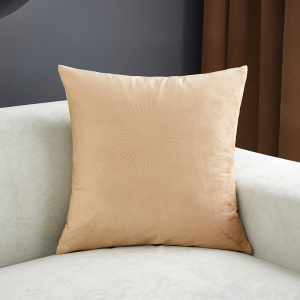 HOYAA Thick Velvet Throw Pillow Case: A Comprehensive Guide