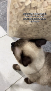 Pet Booster Gemok Freeze Dried Chicken Cube Cat Food Dog Treat Snack Makanan Kucing 500g