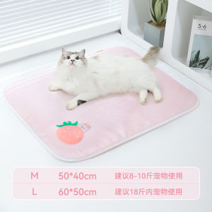 Summer Pet Mat Cat Nest Sleeping Pad for Dogs And Cats Cool Mat Comfortable Home Accessories by Hoopet Normal Size