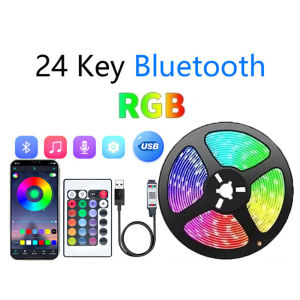 1-30M USB 5V LED Strip Lights With Bluetooth 24Keys Remote Control RGB Flexible Lamp Tape For Room Decoration TV Backlight Diode