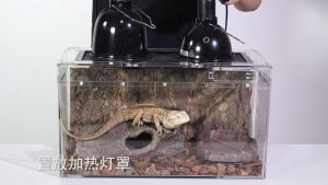 Reptile Enclosure Crystal Explosion Proof Glass Material 爬虫饲养缸