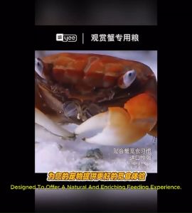 YEE High Protein Ornamental Crab Food for Crustacean Vampire Shrimp Lobster Hermit Crab Crayfish Crawfish