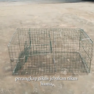 Perangkap Tikus Jebakan Hama Masal Besar dan Kecil