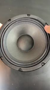 Bass 20cm từ 140 coil 51