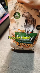 WITTE MOLEN Country Parrot 2kg