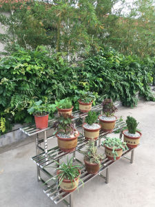 Economic Stainless Steel Thicken Multi-layers Indoor Outdoor Flowers Shelves Simple Modern Balcony Furniture Pork Bowl Stands