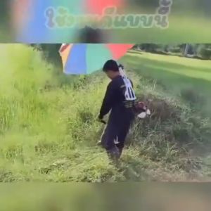 ขาตั้งร่มสะพายหลัง ร่มกีฬาสี ร่มตกปลา ร่มทำสวน ร่มคุมงาน ร่มตกปลา ร่มเก็บพริก ร่มใส่ตัดหญ้า ร่มใส่ทำไร่ทำสวน ร่มคุมงาน（ไม่รวมร่ม）  （COD）