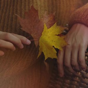 PARFUM SARAH J.PARKER DLL SUPER isi 30ml50ml&90ml PARFUM REFILL