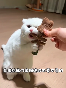 【SG Local Stock】Premium Wood Celestial Fishbone and Catnnip Toy Cat Teething Stick For Cat Molar Grinding Dental Stick