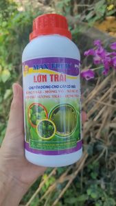 [Freeship Max] Phân bón lá MAX FRUIT LỚN TRÁI chuyên cây có múi giúp bóng trái mỏng vỏ nặng ký ngon ngọt chai 500ml_VTNN TIEN KHOA