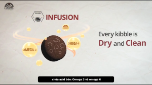 [Cao cấp - Giá dùng thử] Hạt cao cấp cho mèo CHARM 260gram - Thức Ăn cho Mèo Sản Xuất Tại Mỹ