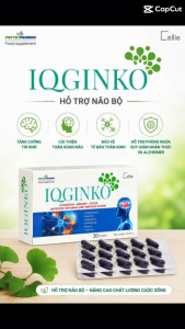 IQGinko- Thần Kinh Não