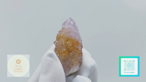 SG LOCAL - Authentic Spirit Quartz 南非精靈水晶