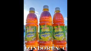 Calamansi Concentrate Organic Juice Original with Honey and Ginger Pure Extract Honey Bee Ginger Essential Natural Source of Antioxidant Vitamin C Enzymes Multivitamins Anti-inflammatory Immunity Booster Antibacterial Mindoren-C Bundlessentials