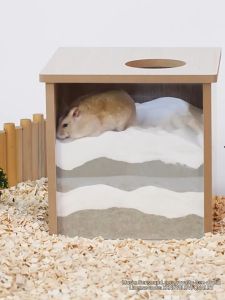 ห้องน้ำหนู แฮมเตอร์ หนูไจแอ้น แฮมสเตอร์ แฟตเทล สำหรับสัตว์เลี้ยง ขนาด 20x20x20 CM รูเข้า 7CM