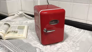 🔥 6L Dual-Temp Mini Fridge with Mirror: Silent & Energy-Saving for Skin Care Drinks Baby Milk - Home/Car/Office (SG Plug)