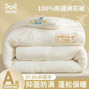 A-Class Antibacterial Dustproof Thickened Cotton Quilt Spring Autumn Quilt Winter Warm Cotton Bedding Core Four Seasons Universal
