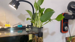 5 Holes Aquarium Plant Holder Hanging Aquatic Plant Pot With Long Hook For Waterscape Decoration
