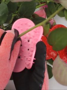 5pcs Rose Thorn Stripper Flower Stripper Alat Pencabut Duri Mawar Untuk Hand Bouquet