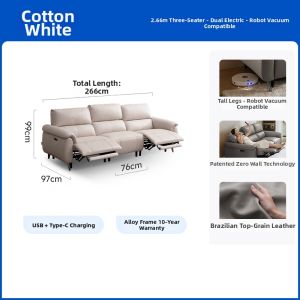 Modern Electric Leather Sofa For Small Living Rooms