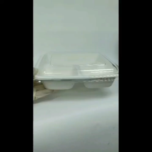 (50Pcs) Biodegradable 9’x9 3 & 4 Compartment Lunch Box with PET Lid /Bio Lunch Box / Takeaway Box
