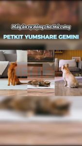Máy Cho Chó Mèo Ăn Tự Động Petkit Yumshare Gemini 2 có camera Máy Nhả Hạt bản Quốc Tế - 2 ngăn đựng tiện lợi dung tích 5L- HeLiPet
