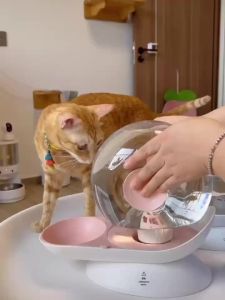 Pet water dispenser unplugged wireless automatic water feeding for dogs large capacity cat water dispenser