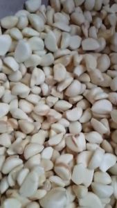 Bawang PUTIH KUPASAN BIASA/HONAN KUPASAN - 500 Gram - LPJ