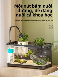 HUICHONG | Bể Cá Cảnh Mới Tích Hợp Lọc Và Oxy Hóa