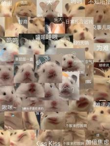 Adorable Hamster Emotion Stickers Waterproof Decals for iPad Mobile Phone Case Fridge Decoration Cute Fun Squeaky Toys